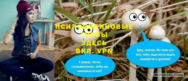 сатива Арсеньев